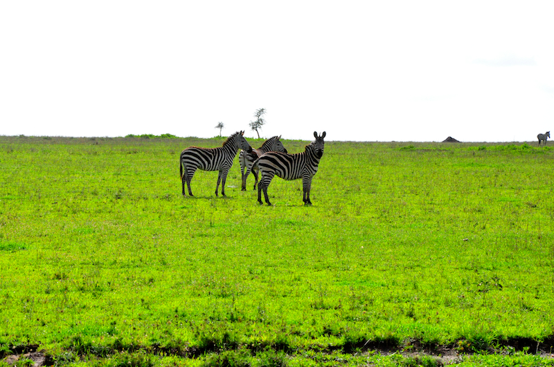 Melanie Heinrich Travel Images Africa